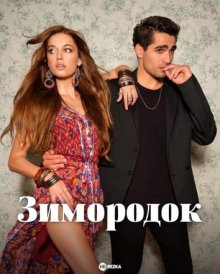 Сериал "Зимородок"