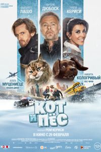 Кот и пёс (2024) смотреть онлайн