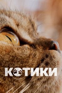 Котики (2022) смотреть онлайн