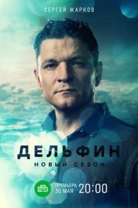 Сериал "Дельфин" ( 2019 )