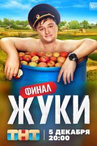 Сериал "Жуки" ( 2019 )